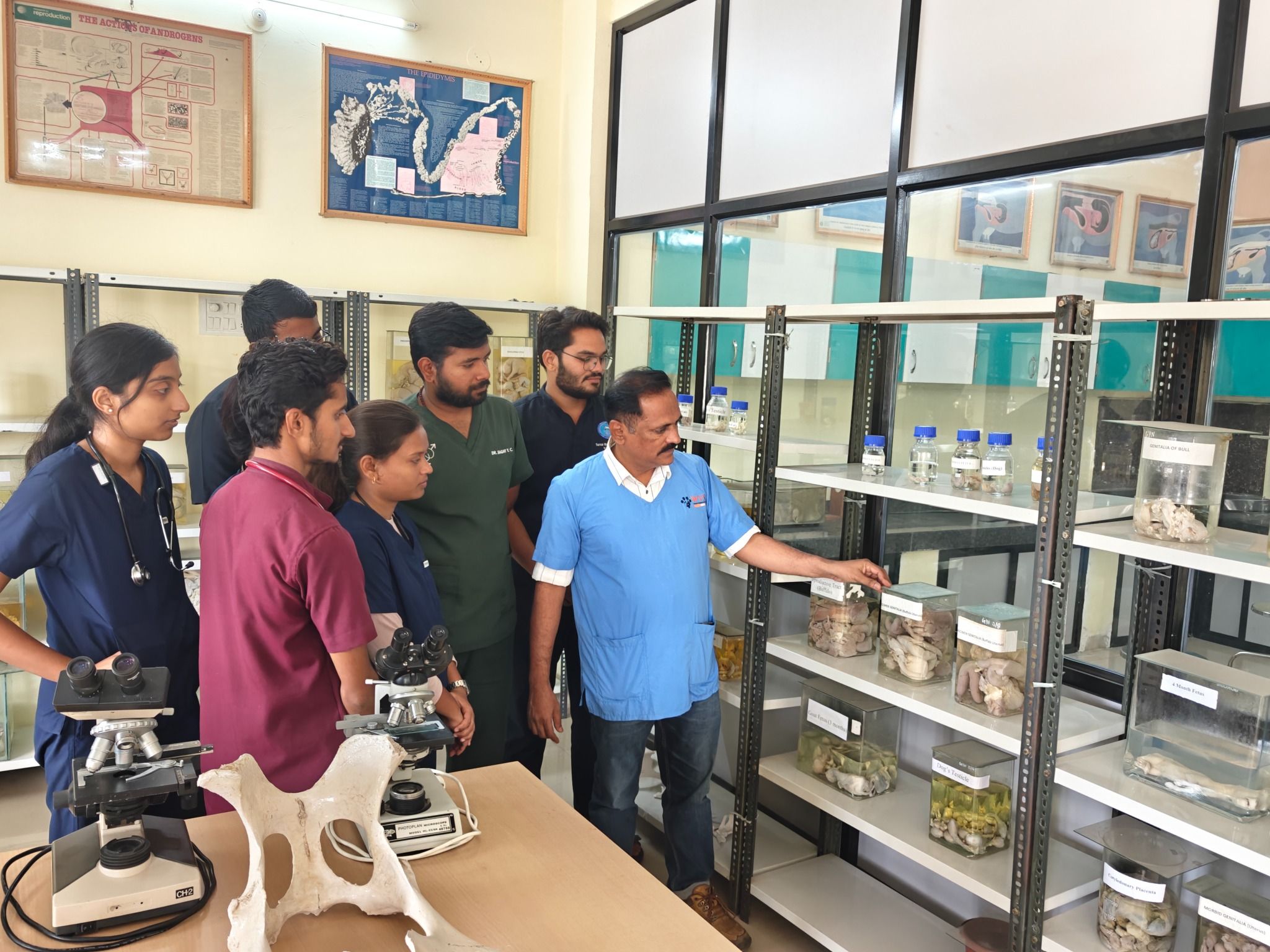 Gynecology Gross Specimens Museum1